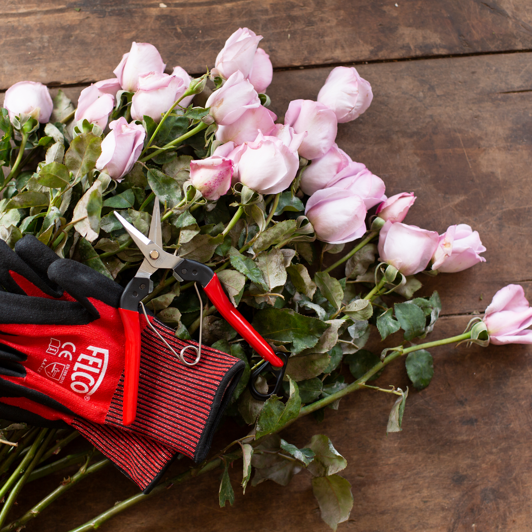 FELCO 321 Ernteschere