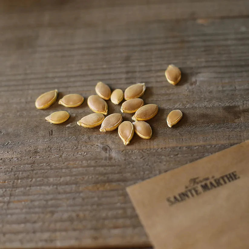 Kürbis 'North Georgia Candy Roaster'