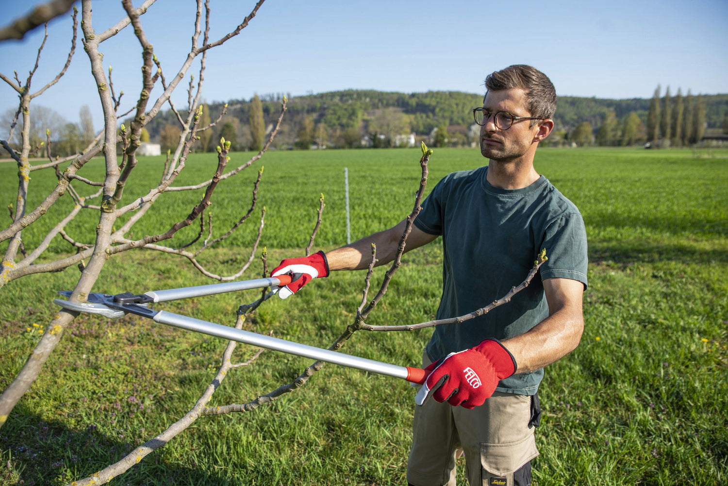 FELCO 231 Amboss-Astschere