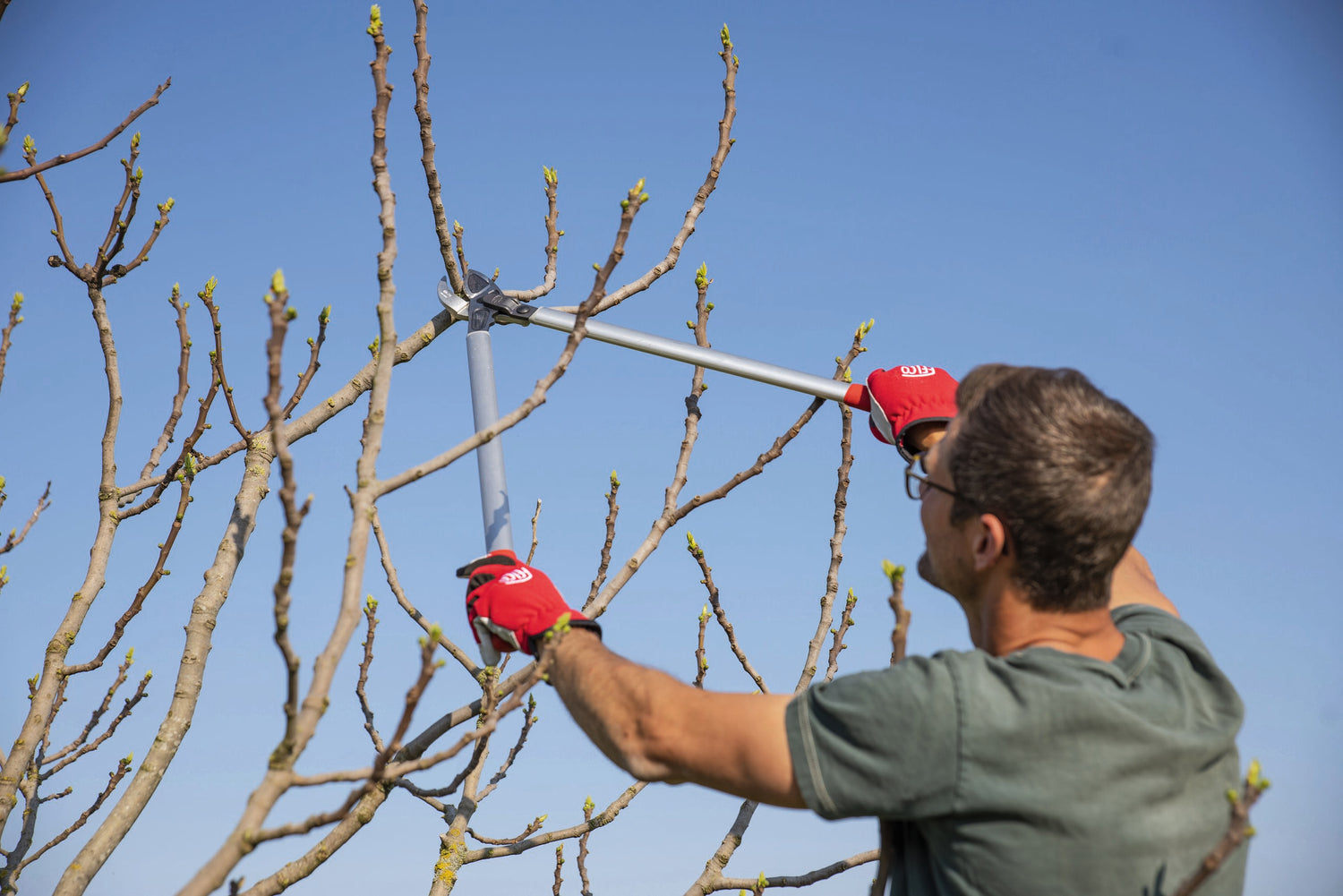 FELCO 231 Amboss-Astschere