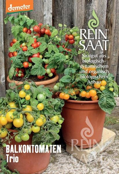 Mélange de tomates « Colorful Pot Mix »