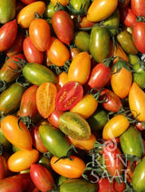 Tomate 'Artisan Tiger Mix'