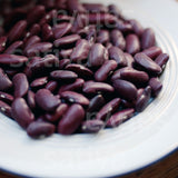 Buschbohne 'Kanadisches Wunder'