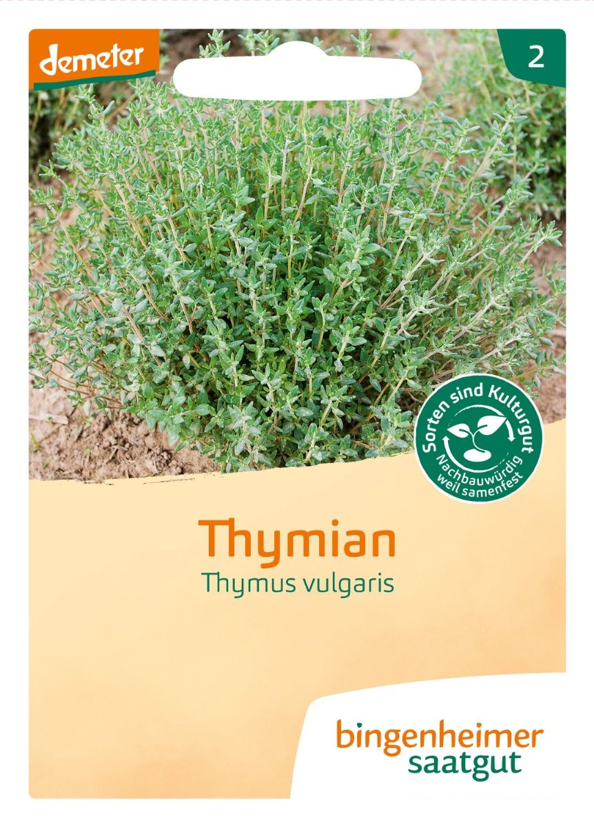 Thyme 'Deutscher Winter'