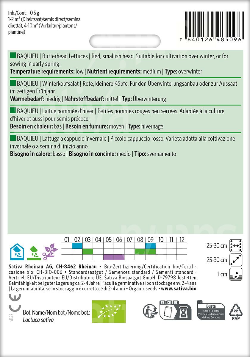 Laitues pommées 'Baquieu'