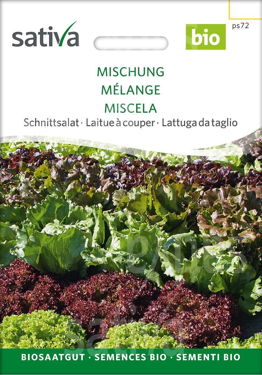 Salat 'Bunter Blattsalat-Mix'