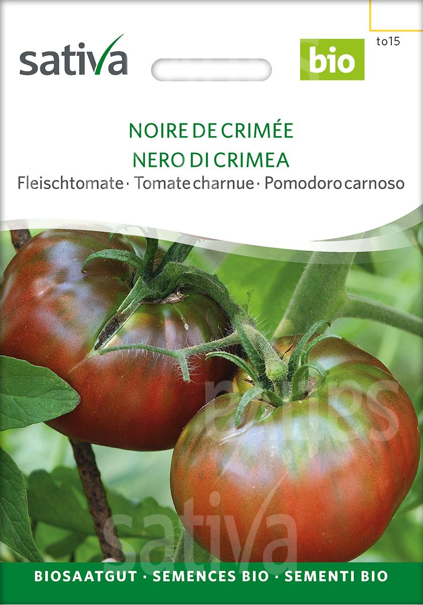 Tomate 'Black Krim'