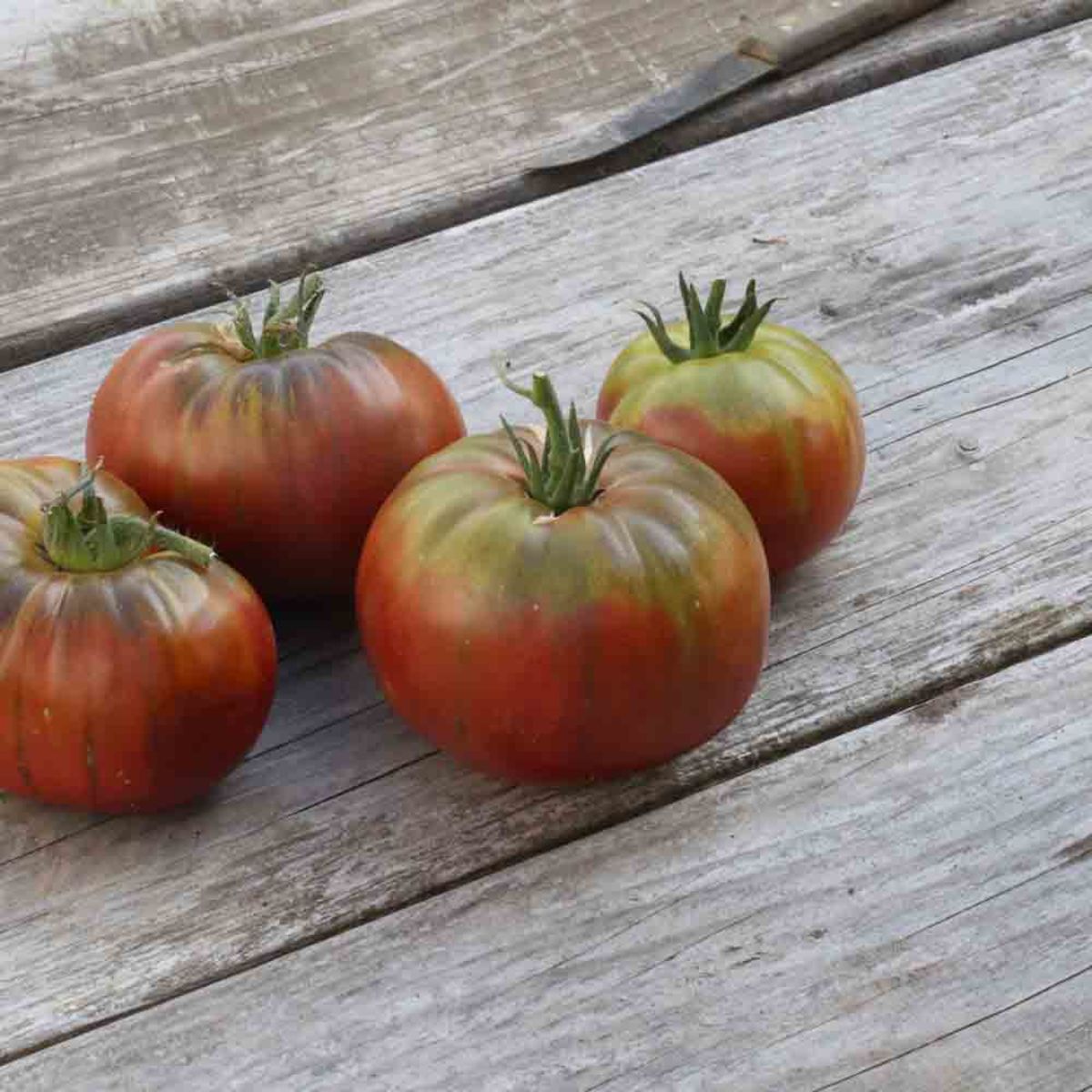 BIO-Tomatensamen Black Krim – Süß-aromatische Fleischtomate, 1 Portion Für Ca. 15 Pflanzen